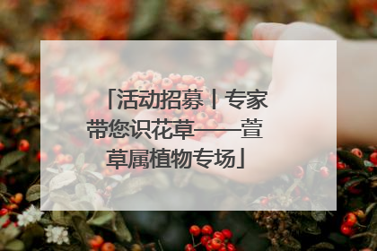 活动招募丨专家带您识花草——萱草属植物专场
