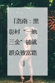 洛南：黑彰村“一地三金”铺就群众致富路