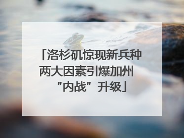 洛杉矶惊现新兵种 两大因素引爆加州“内战”升级