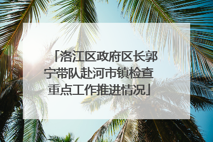洛江区政府区长郭宁带队赴河市镇检查重点工作推进情况
