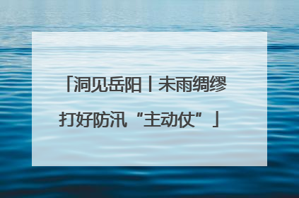 洞见岳阳丨未雨绸缪 打好防汛“主动仗”