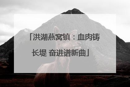 洪湖燕窝镇：血肉铸长堤 奋进谱新曲