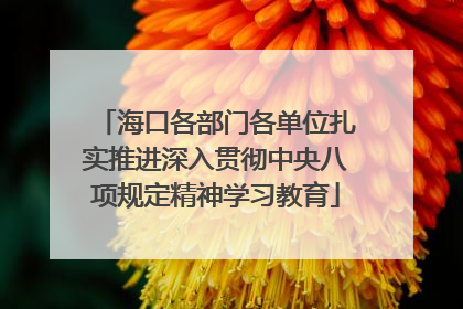 海口各部门各单位扎实推进深入贯彻中央八项规定精神学习教育