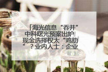 海光信息“吞并”中科曙光预案出炉 现金选择权太“鸡肋”？业内人士：企业不想大量现金流出