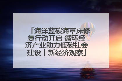 海洋蓝碳海草床修复行动开启 循环经济产业助力低碳社会建设丨新经济观察