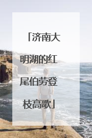 济南大明湖的红尾伯劳登枝高歌
