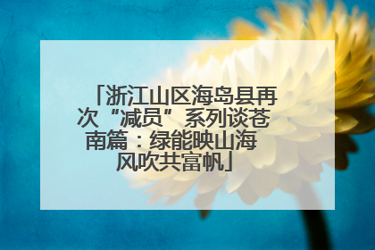 浙江山区海岛县再次“减员”系列谈苍南篇：绿能映山海 风吹共富帆