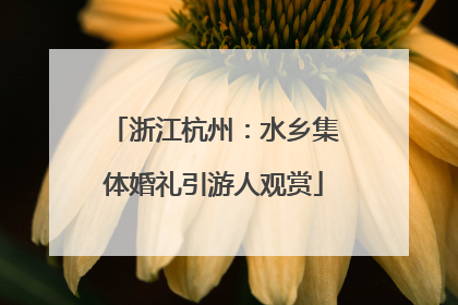 浙江杭州：水乡集体婚礼引游人观赏