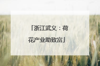 浙江武义：荷花产业助致富