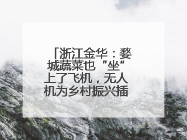 浙江金华：婺城蔬菜也“坐”上了飞机，无人机为乡村振兴插上“翅膀”