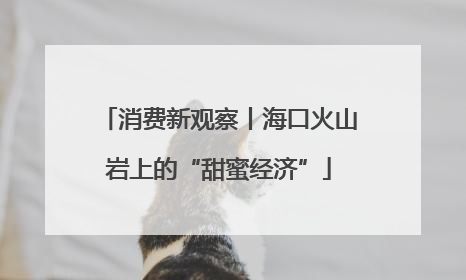 消费新观察丨海口火山岩上的“甜蜜经济”