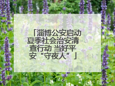 淄博公安启动夏季社会治安清查行动 当好平安“守夜人”