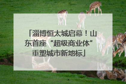 淄博恒太城启幕！山东首座“超级商业体”重塑城市新地标