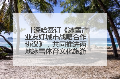 深哈签订《冰雪产业友好城市战略合作协议》，共同推进两地冰雪体育文化旅游高质量发展