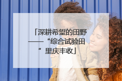深耕希望的田野——“综合试验田”里庆丰收
