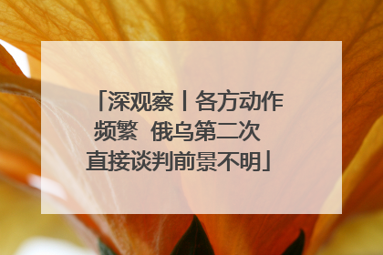 深观察丨各方动作频繁  俄乌第二次直接谈判前景不明