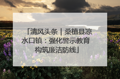 清风头条｜桑植县凉水口镇：强化警示教育 构筑廉洁防线