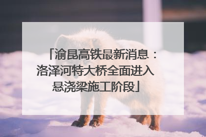 渝昆高铁最新消息：洛泽河特大桥全面进入悬浇梁施工阶段