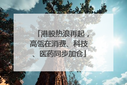 港股热浪再起，高瓴在消费、科技、医药同步加仓