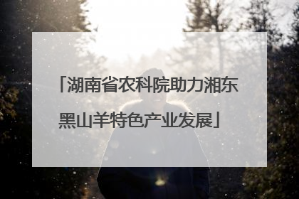 湖南省农科院助力湘东黑山羊特色产业发展
