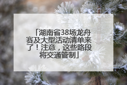 湖南省38场龙舟赛及大型活动清单来了！注意，这些路段将交通管制