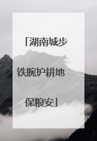 湖南城步铁腕护耕地保粮安