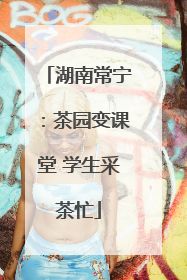 湖南常宁：茶园变课堂 学生采茶忙