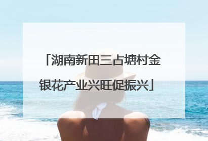 湖南新田三占塘村金银花产业兴旺促振兴