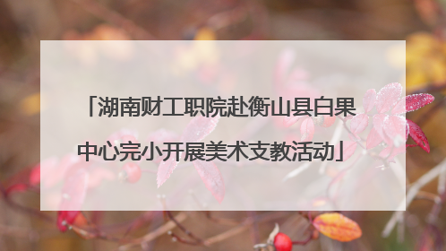 湖南财工职院赴衡山县白果中心完小开展美术支教活动