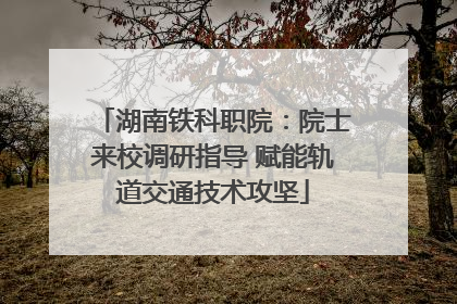 湖南铁科职院：院士来校调研指导 赋能轨道交通技术攻坚