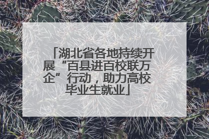 湖北省各地持续开展“百县进百校联万企”行动，助力高校毕业生就业