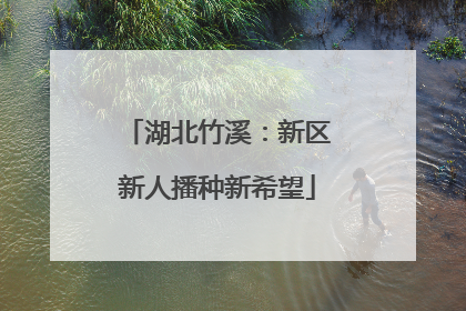湖北竹溪：新区新人播种新希望