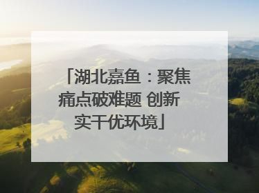 湖北嘉鱼：聚焦痛点破难题 创新实干优环境