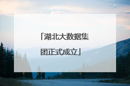 湖北大数据集团正式成立