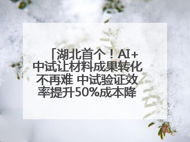 湖北首个！AI+中试让材料成果转化不再难 中试验证效率提升50%成本降低60%