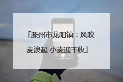 滕州市龙阳镇：风吹麦浪起 小麦迎丰收