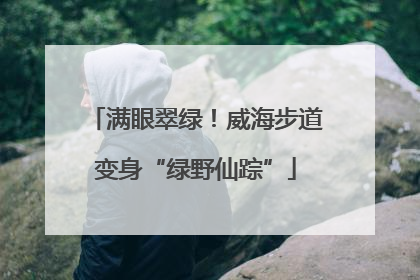 满眼翠绿！威海步道变身“绿野仙踪”