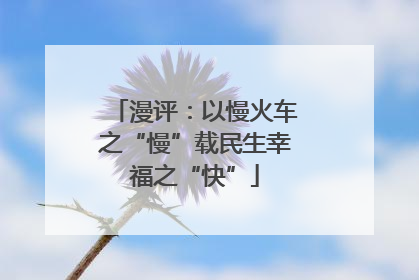 漫评：以慢火车之“慢”载民生幸福之“快”