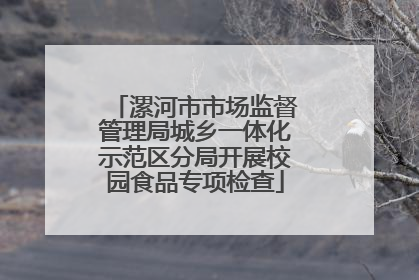 漯河市市场监督管理局城乡一体化示范区分局开展校园食品专项检查