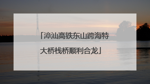 漳汕高铁东山跨海特大桥栈桥顺利合龙
