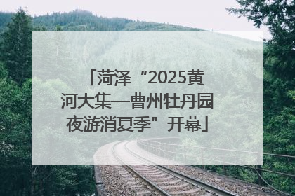 菏泽“2025黄河大集—曹州牡丹园夜游消夏季”开幕