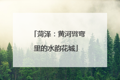 菏泽：黄河臂弯里的水韵花城