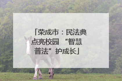 荣成市：民法典点亮校园 “智慧普法”护成长
