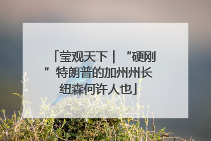 莹观天下｜“硬刚”特朗普的加州州长纽森何许人也