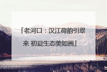 老河口：汉江荷韵引翠来 初夏生态美如画