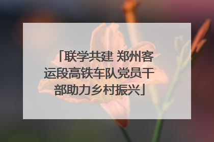 联学共建 郑州客运段高铁车队党员干部助力乡村振兴