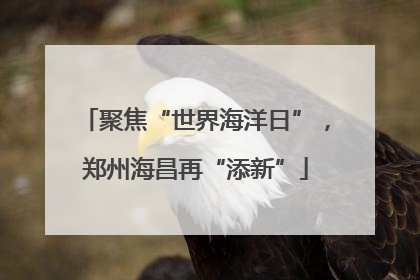 聚焦“世界海洋日”，郑州海昌再“添新”