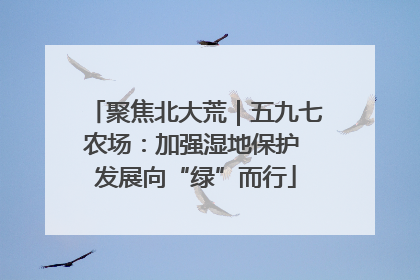 聚焦北大荒｜五九七农场：加强湿地保护 发展向“绿”而行