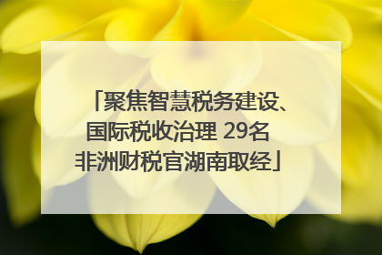 聚焦智慧税务建设、国际税收治理 29名非洲财税官湖南取经