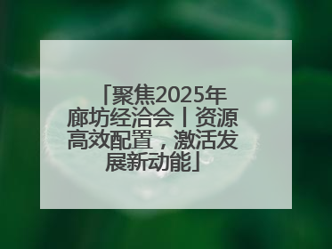 聚焦2025年廊坊经洽会丨资源高效配置，激活发展新动能